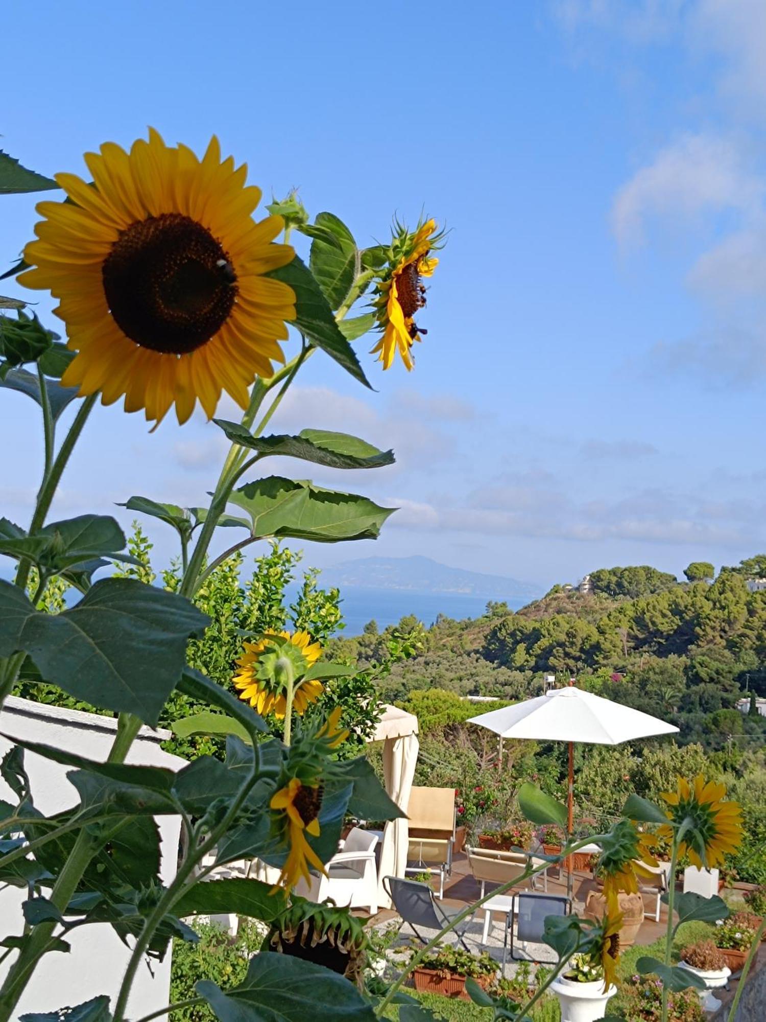 B&B Villa Cristina Anacapri  Zewnętrze zdjęcie