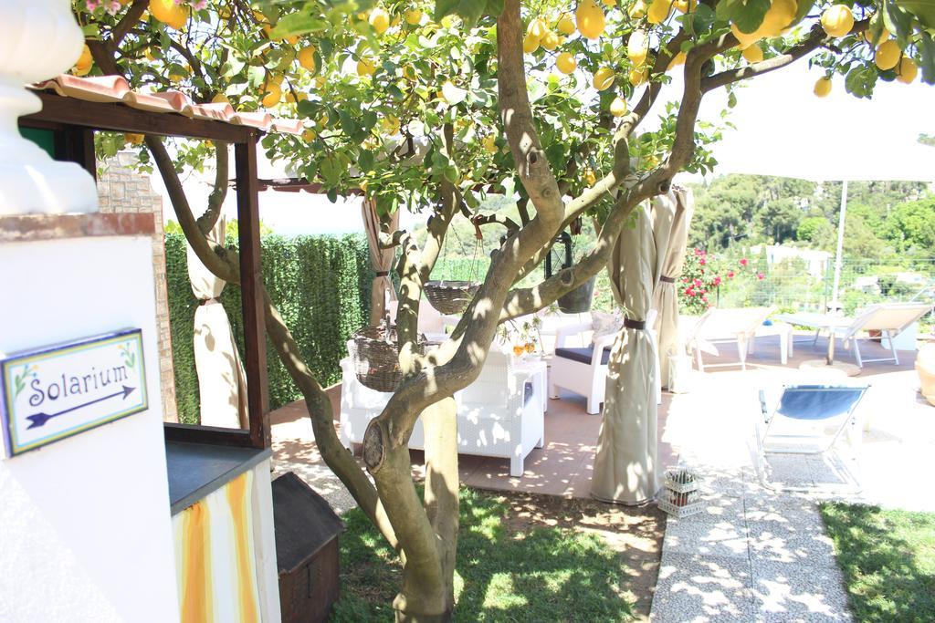 B&B Villa Cristina Anacapri  Zewnętrze zdjęcie